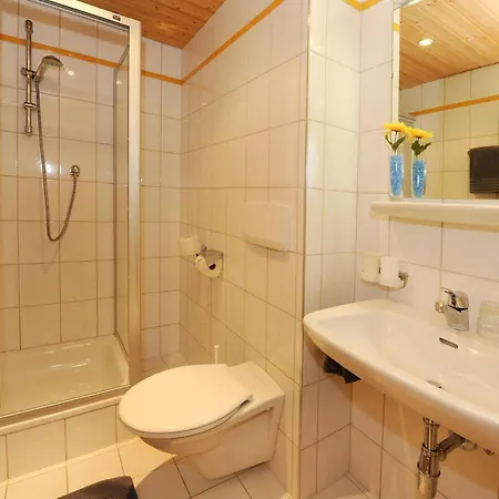 Apartment Alexandra In Galtuer By Interhome * Galtür